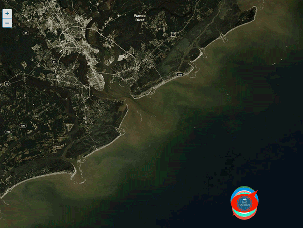 cohort-8-projections-600